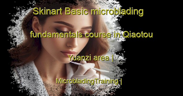 Skinart Basic microblading fundamentals course in Qiaotou Yuanzi area | MicrobladingTraining | MicrobladingClasses | SkinartTraining-China